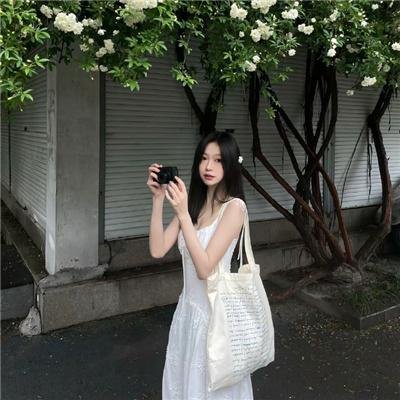 长安的荔枝